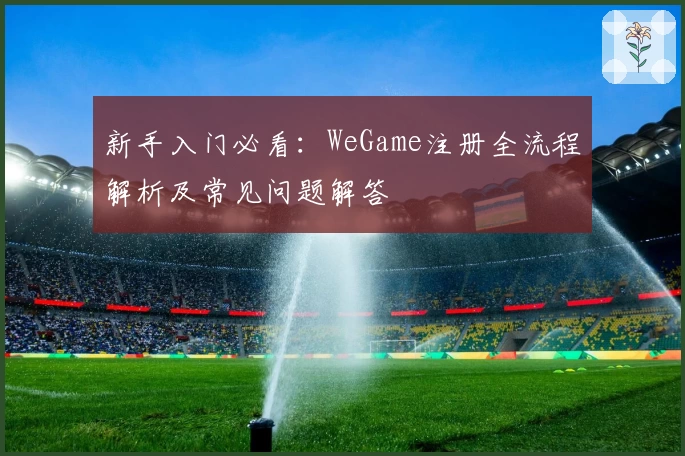 新手入门必看：WeGame注册全流程解析及常见问题解答