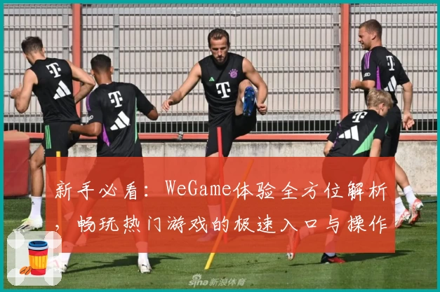 新手必看：WeGame体验全方位解析，畅玩热门游戏的极速入口与操作技巧